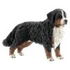 Schleich FARM WORLD Berner Sennenhond Vrouwtje 16397