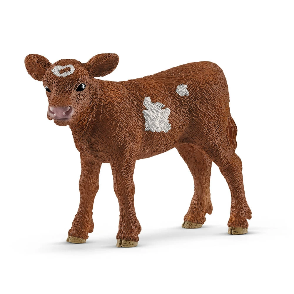 Schleich Farm World Texas Longhorn Kalf 13881 1 Schleich Farm World Texas Longhorn Kalf 13881