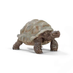 Schleich WILD LIFE Reuzenschildpad 14824
