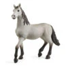 Schleich HORSE CLUB Figuur Pura Raza Española Veulen 13924