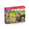 Schleich HORSE CLUB Paarden Wasplaats Met Emily En Luna 42438