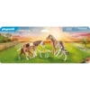PLAYMOBIL Country 2 IJslandse Pony's Met Veulens 71000