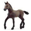 Schleich HORSE CLUB Peruviaans Pasoveulen 13954