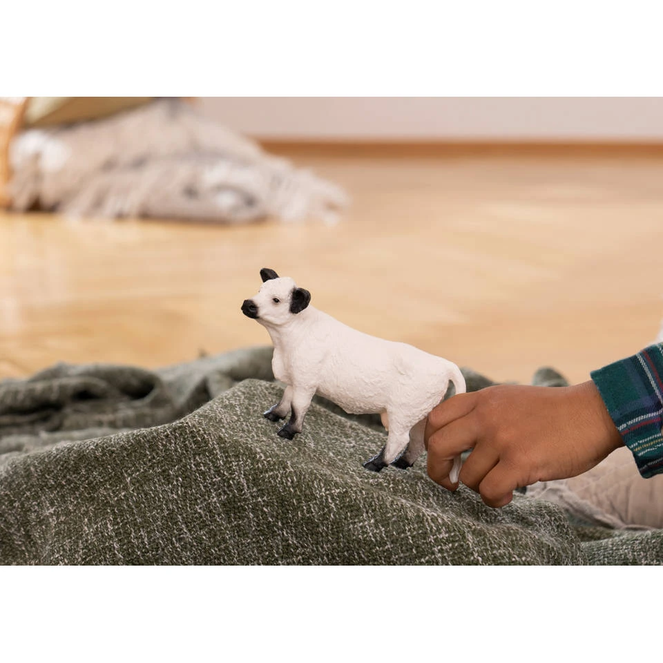 Schleich FARM WORLD Gallowaykoe 13960 2 Schleich FARM WORLD Gallowaykoe 13960 - Afbeelding 2