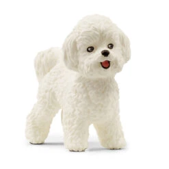 Schleich FARM WORLD Bichon Frisé 13963