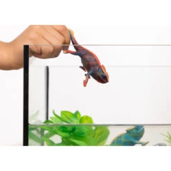 Schleich WILD LIFE Kameleon 14858 7 Schleich WILD LIFE Kameleon 14858 -Kinderspeelgoedwinkel 1994511 8ddafcb5